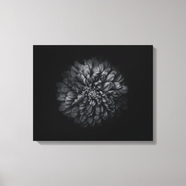 Toile Fleurs De jardin En Noir Et Blanc No 68 (Recto)