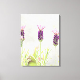 Toile Fleurs de lavande