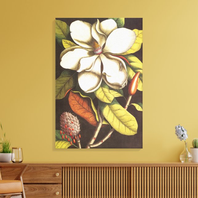 Toile Fleurs de magnolia vintage avec graines (Insitu(Salon))