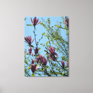 Toile fleurs de magnolia violet printanier dans le ciel