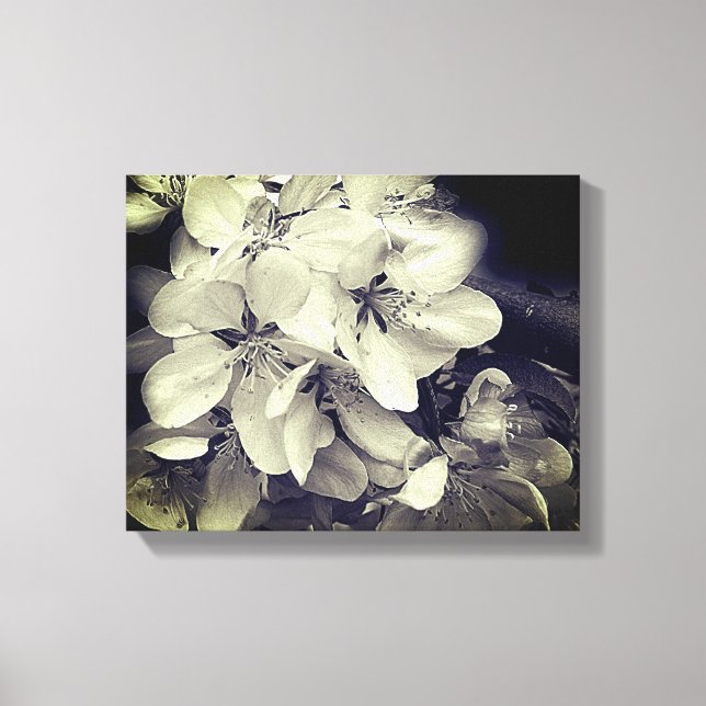 Toile Fleurs de pommier noir et blanc   (Recto)