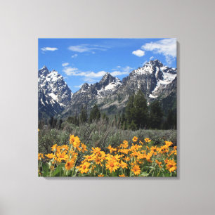 Toile Fleurs de printemps au Parc national de Grand Teto