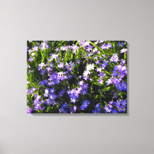 Toile Fleurs de printemps Blue Squale