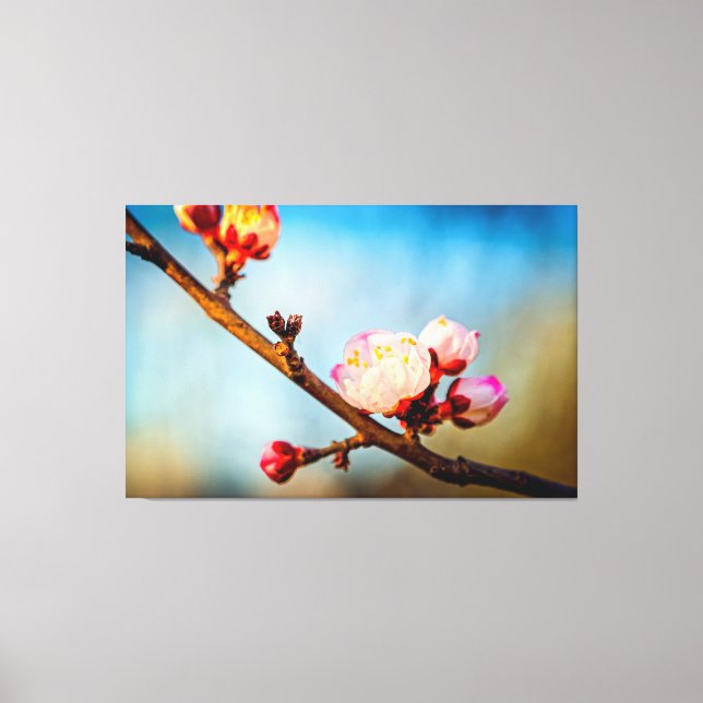 Toile Fleurs de Prunier Japonais et le Ciel Bleu Clair (Recto)