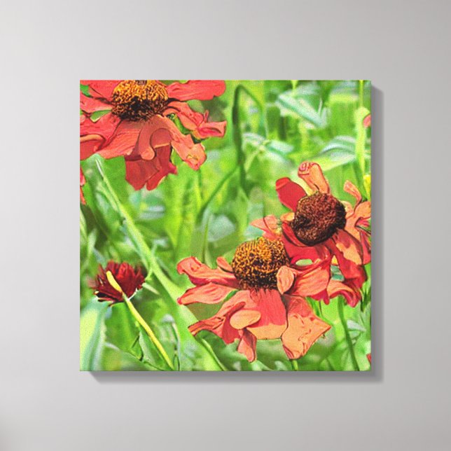 TOILE FLEURS DE RUDBECKIA ROUGES (Recto)