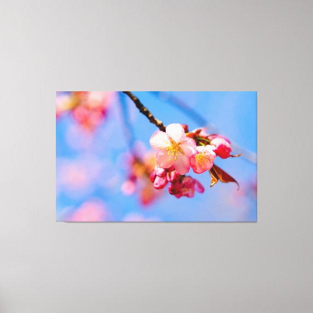 Toile Fleurs de Sakura, Bourgeons et le Ciel Bleu du Pri (Recto)