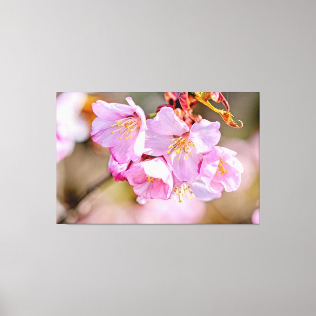 Toile Fleurs De Sakura Charmant Et Cool Au Printemps (Recto)
