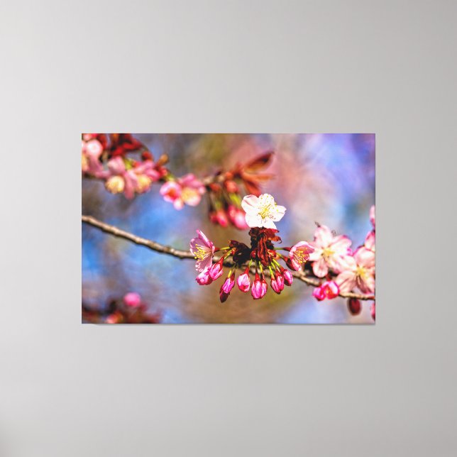 Toile Fleurs de Sakura et bourgeons violets un jour enso (Recto)