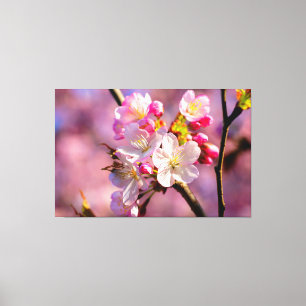 Toile Fleurs De Sakura Frais Dans Le Jardin Au Printemps