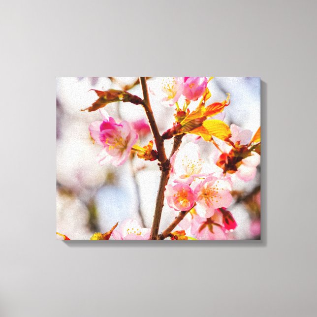 Toile Fleurs de Sakura Rose Clair Illuminées par le Sole (Recto)