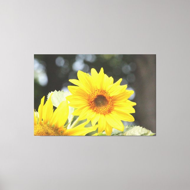 Toile Fleurs de tournesol (Recto)