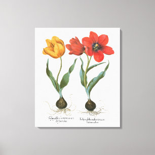 Toile Fleurs de tulipes printanières vintage par Basiliu