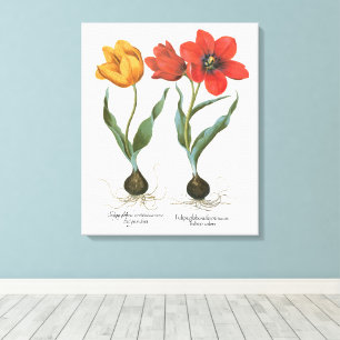 Toile Fleurs de tulipes printanières vintage par Basiliu
