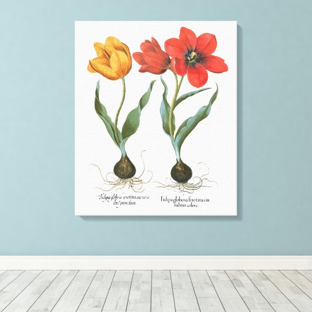 Toile Fleurs de tulipes printanières vintage par Basiliu (Insitu (Plancher de Bois))