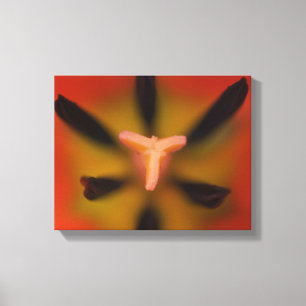 Toile Fleurs de tulipes rouges proches