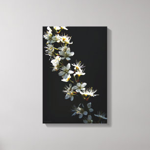 Toile Fleurs d'épinette 11x16,5 (27,5x41,25cm) waccn