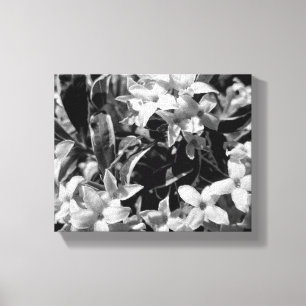 Toile Fleurs d'été