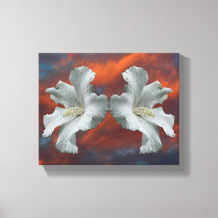 Toile Fleurs D'Hibiscus Blanches Sur Un Ciel Dramatique