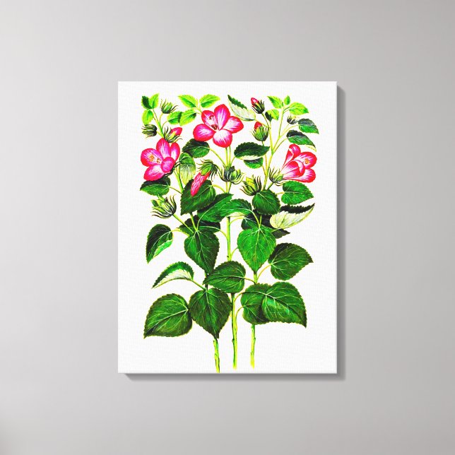 Toile Fleurs d'Hibiscus italien rose (Recto)