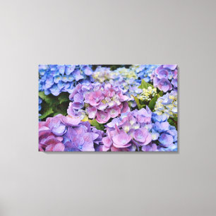 Toile Fleurs d'Hydrangée colorées Art photographique