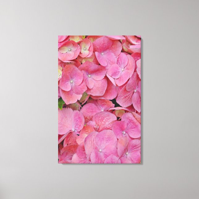 Toile Fleurs d'Hydrangée rose Art photographique (Recto)
