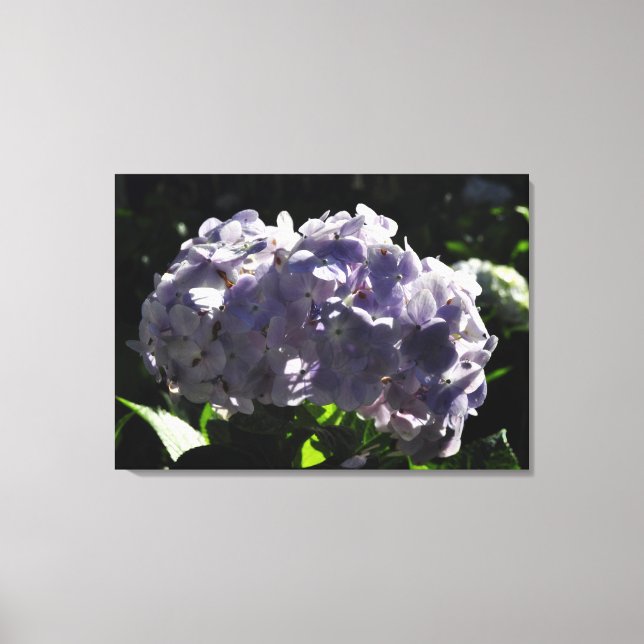 Toile Fleurs d'hydrangée violette (Recto)