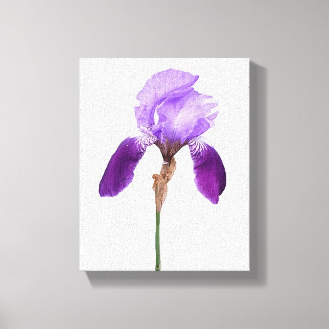 Toile Fleurs d'iris violettes boho florales glamour fémi (Recto)