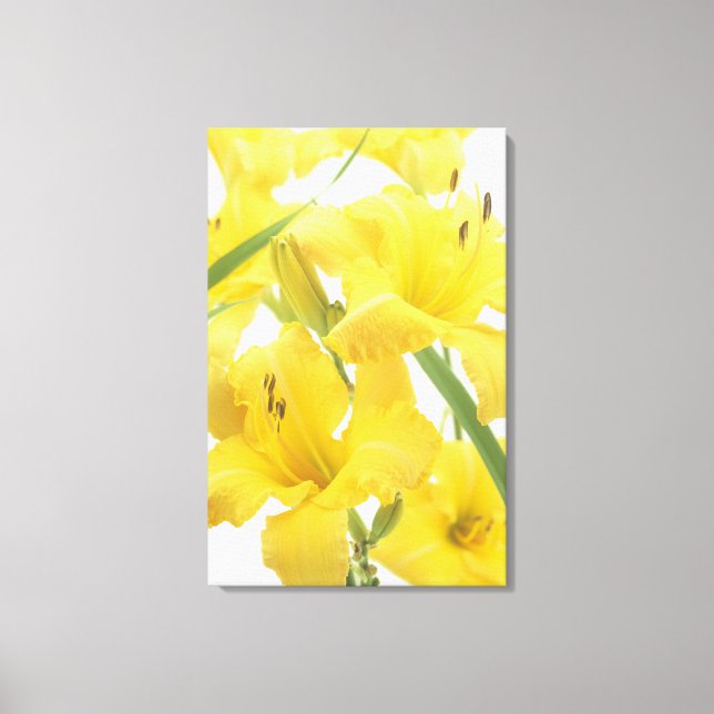 Toile Fleurs diurnes et bourgeons floraux (Hemerocallis) (Recto)