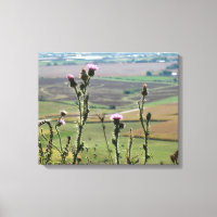 Fleurs du haut de "The Mound" Platteville Wi
