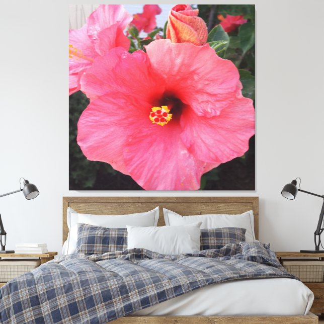 Toile Fleurs en Crète Canéenne, Grèce (Insitu(Chambre))