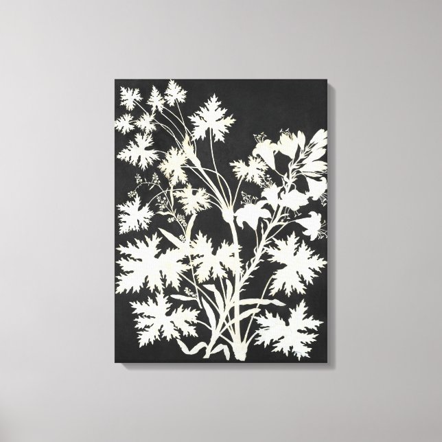 Toile Fleurs en silhouette (Recto)