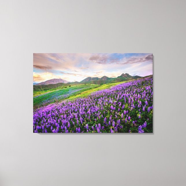 Toile Fleurs | Fleurs sauvages californiens (Recto)