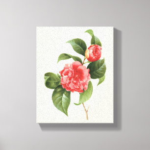 Toile Fleurs Florales Vintage, Fleurs de Camélia Roses p