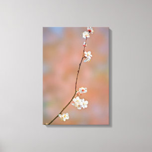 Toile Fleurs japonaises d'abricot