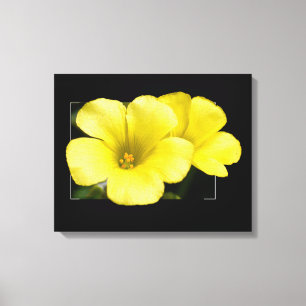 Toile fleurs jaunes
