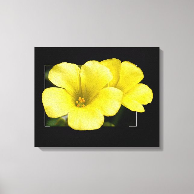 Toile fleurs jaunes (Recto)