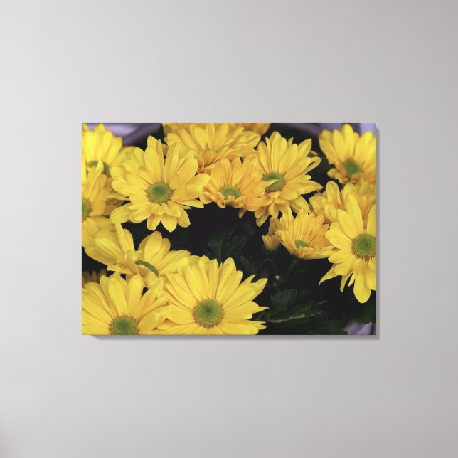 Toile Fleurs Jaunes Daisy Flora Photo Prints (Recto)