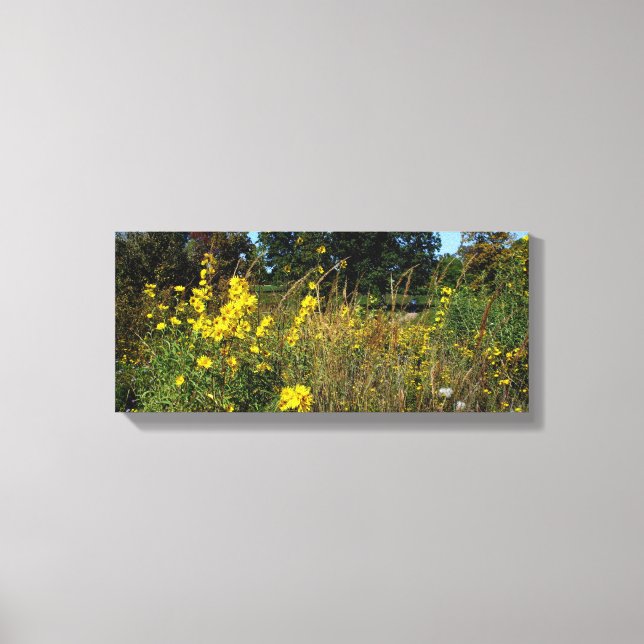 Toile Fleurs jaunes de prairie Photo  (Recto)