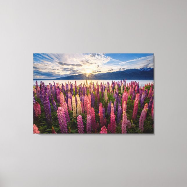 Toile Fleurs | Lupines Nouvelle-Zélande (Recto)
