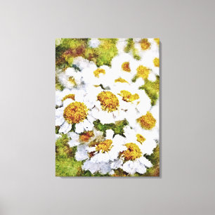 Toile Fleurs marguerites blanches - Peinture Art Envelop