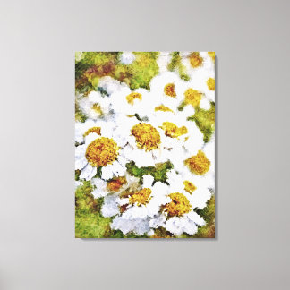 Toile Fleurs marguerites blanches - Peinture Art Envelop