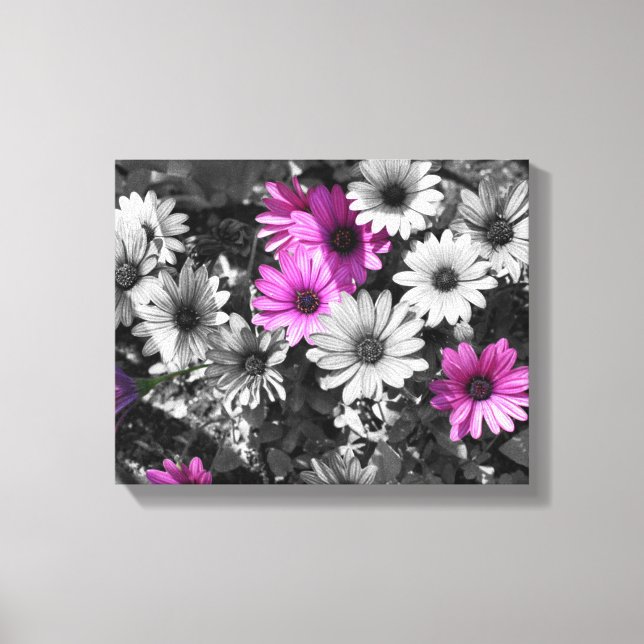 Toile Fleurs marguerites violettes africaines Couleur pa (Recto)