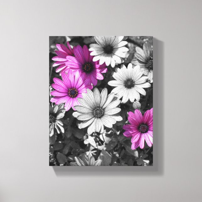 Toile Fleurs marguerites violettes africaines Couleur pa (Recto)