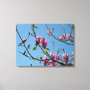 Toile fleurs mauve de magnolia dans le ciel bleu