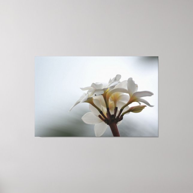 Toile Fleurs Plumeria Hawaii (Recto)