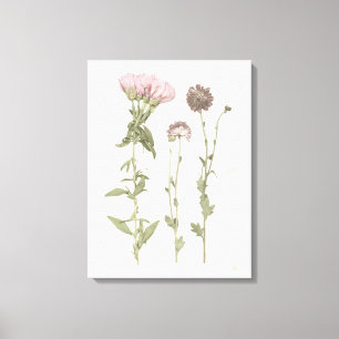 Toile Fleurs pressées - rose
