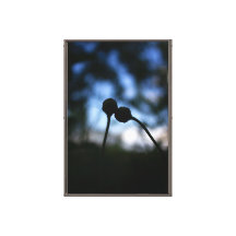 Fleurs Romantiques et Émouvantes – Couple Fantasti