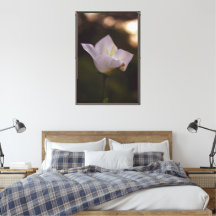 Fleurs romantiques – Fantaisie botanique vintage