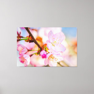 Toile Fleurs roses de Sakura. Le triomphe de la vie au p