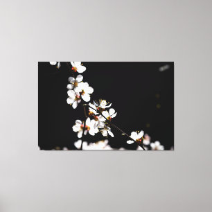 Toile Fleurs Sakura